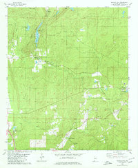 Bounds Lake 1980 topographic map thumbnail