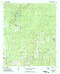 Bounds Lake 1980 topographic map thumbnail
