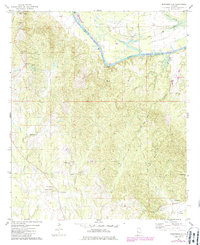 Brewersville 1974 topographic map thumbnail