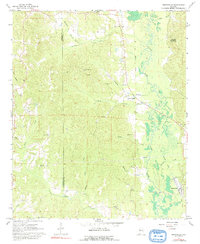 Brownville 1967 topographic map thumbnail