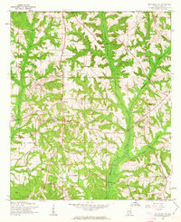 Brundidge NW 1960 topographic map thumbnail