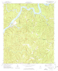 Burchfield Store 1974 topographic map thumbnail