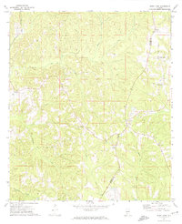Burnt Corn 1971 topographic map thumbnail