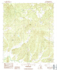 Carlowville 1987 topographic map thumbnail