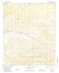 Centreville East 1980 topographic map thumbnail