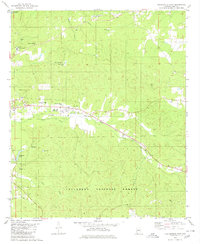 Centreville East 1980 topographic map thumbnail