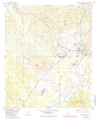 Centreville West 1980 topographic map preview