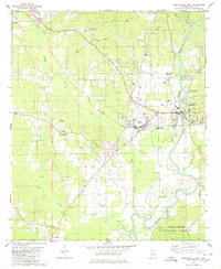 Centreville West 1980 topographic map preview