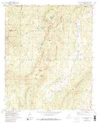 Cheaha Mountain 1969 topographic map thumbnail