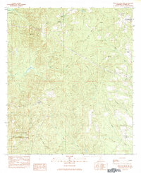 Choctaw Bluff NE topographic map thumbnail