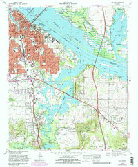 Decatur 1975 topographic map thumbnail