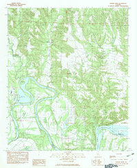 Durant Bend 1982 topographic map thumbnail