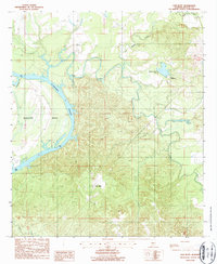Elm Bluff 1987 topographic map thumbnail