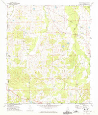 Fitzpatrick 1971 topographic map thumbnail