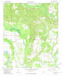 Forester 1981 topographic map thumbnail