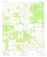 Geiger 1973 topographic map thumbnail