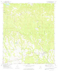 Hatchechubbee 1973 topographic map thumbnail