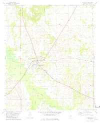Hayneville 1981 topographic map thumbnail