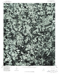 Holly Pond 1975 topographic map thumbnail