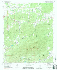 Indian Mountain 1967 topographic map thumbnail