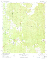 Isney 1974 topographic map preview