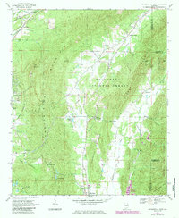 Jacksonville East 1967 topographic map thumbnail