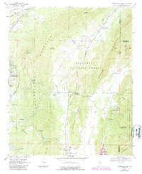 Jacksonville East 1967 topographic map thumbnail