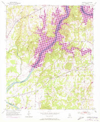 Laniers 1951 topographic map thumbnail