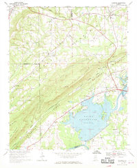 Leesburg 1967 topographic map preview