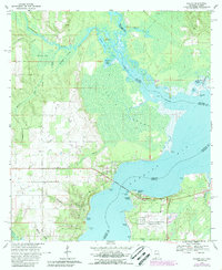 Lillian 1970 topographic map preview