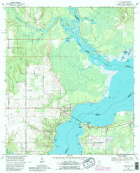 Lillian 1970 topographic map preview