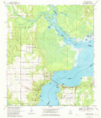 Lillian 1970 topographic map preview