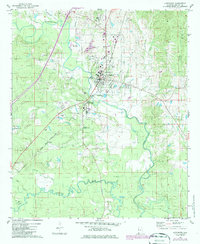 Livingston 1974 topographic map thumbnail