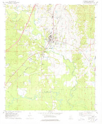 Livingston 1974 topographic map thumbnail