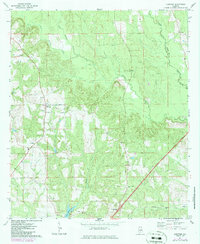 Lyeffion 1971 topographic map thumbnail