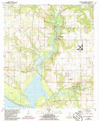 Magnolia Springs 1980 topographic map thumbnail