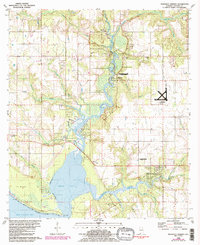 Magnolia Springs 1980 topographic map thumbnail