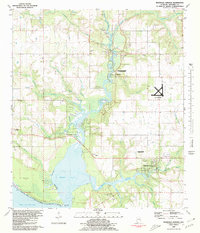 Magnolia Springs 1980 topographic map thumbnail