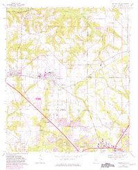 Midland City 1969 topographic map thumbnail