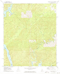 Mitchell Dam NW 1971 topographic map thumbnail