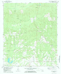 Morgan Springs 1979 topographic map thumbnail