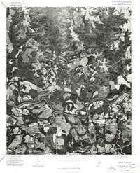 Mount Meigs NE topographic map thumbnail