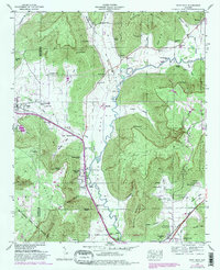 Paint Rock 1948 topographic map thumbnail