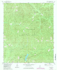 Payne Lake 1980 topographic map thumbnail