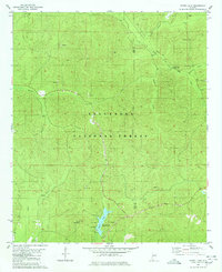 Payne Lake 1980 topographic map thumbnail