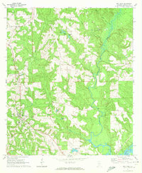 Red Level 1971 topographic map thumbnail