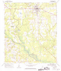 Samson 1968 topographic map preview