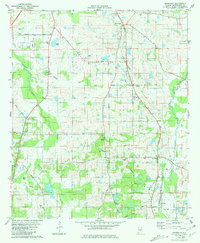 Snowdoun 1981 topographic map thumbnail