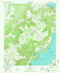 Swearengin 1947 topographic map thumbnail