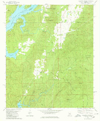 Talladega Springs 1979 topographic map thumbnail